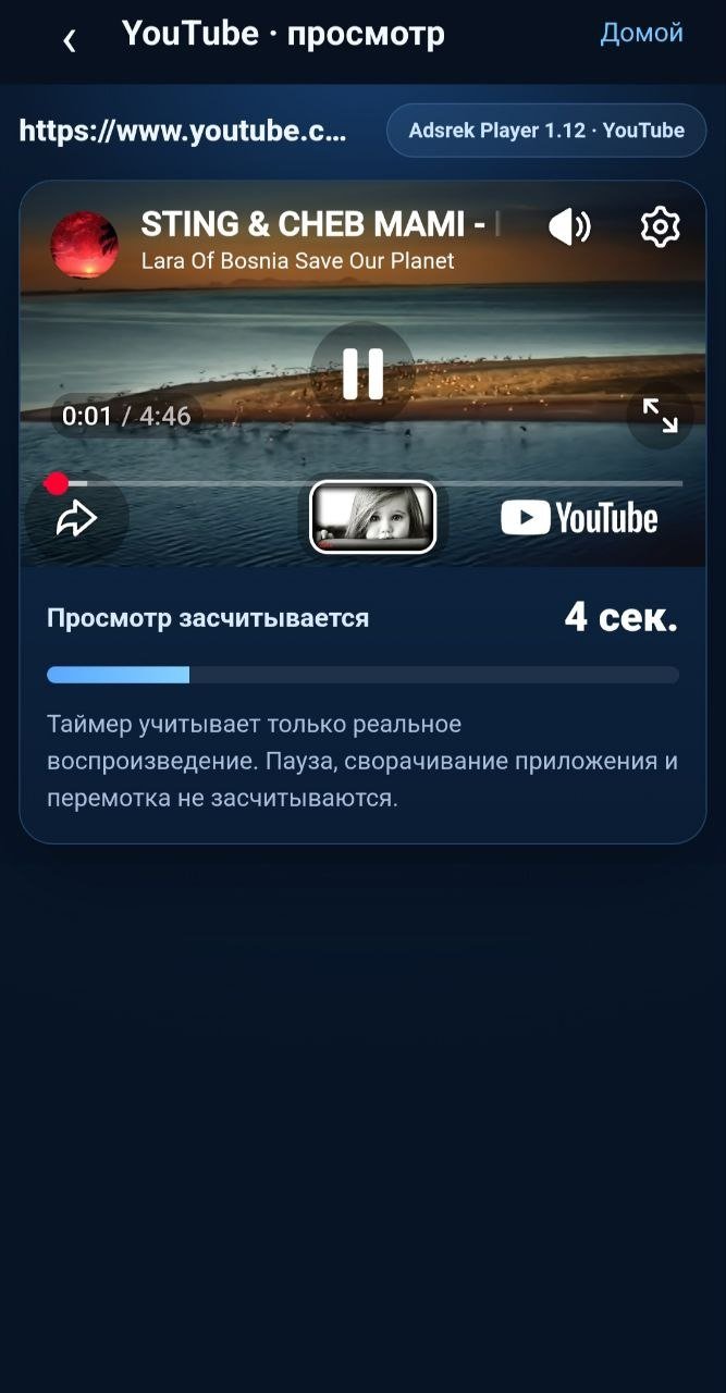 Экран YouTube-задания в приложении Adsrek