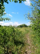 yltramaris